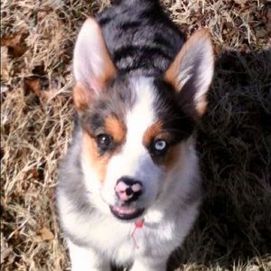 Meet your Posher, Leona